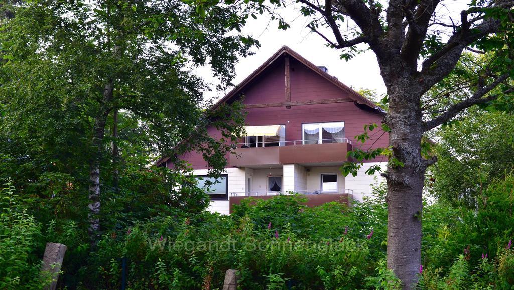 Sonnenglueck Mit Schwimmbad Braunlage Quarto foto